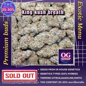 Cannabis flower Name King kush breath Grow by OG team From OG shop Thailand ดอกแห้ง King kush breath ปลูกโดย OG team จาก OG shop ประเทศไทย