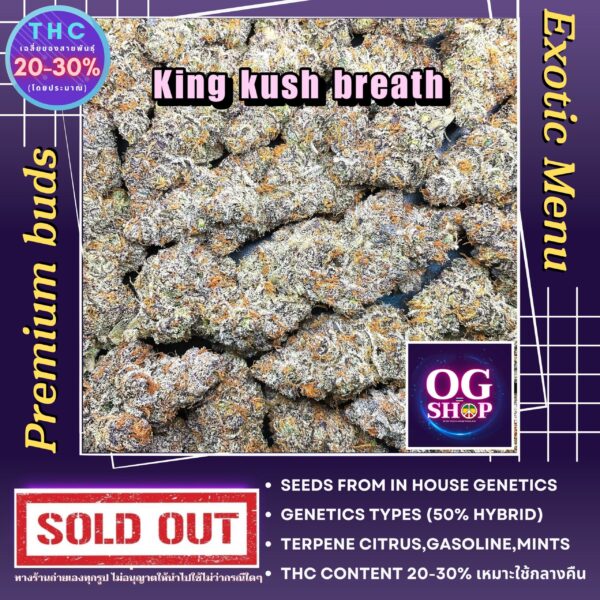 Cannabis flower Name King kush breath Grow by OG team From OG shop Thailand ดอกแห้ง King kush breath ปลูกโดย OG team จาก OG shop ประเทศไทย
