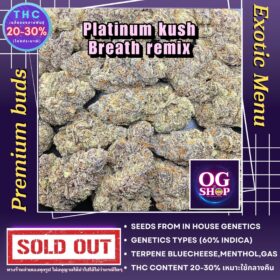 Cannabis Dispensary Delivery Krabi Thailand Cannabis flower Name Platinum kush breath remix (In house genetics) Grow by OG team From OG shop Thailand ดอกแห้ง Platinum kush breath remix (In house genetics) ปลูกโดย OG team จาก OG shop ประเทศไทย