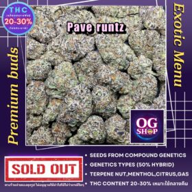 Cannabis flower Name Pave runtz (Compound genetics) Grow by OG team From OG shop Thailand ดอกแห้ง Pave runtz (Compound genetics) ปลูกโดย OG team จาก OG shop ประเทศไทย