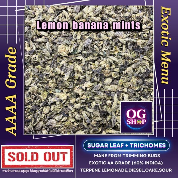 Sugar leaf + Trichomes เศษดอก + ใบทริมติดไตรโคม สายพันธุ์ Lemon banana mints (Black farm genetics) Sugar leaf 100 ฿/g รายละเอียด/กลิ่น/อาการ/THC Information/Smell/Effect/Order ช่อดอกบ่มอย่างน้อย 1 เดือน ณ วันที่ลงขาย (ไม่รวมตาก) Cannabis buds  is curing 1 month up before sell