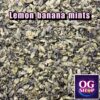 Sugar leaf + Trichomes เศษดอก + ใบทริมติดไตรโคม สายพันธุ์ Lemon banana mints (Black farm genetics) Sugar leaf 100 ฿/g รายละเอียด/กลิ่น/อาการ/THC Information/Smell/Effect/Order ช่อดอกบ่มอย่างน้อย 1 เดือน ณ วันที่ลงขาย (ไม่รวมตาก) Cannabis buds  is curing 1 month up before sell