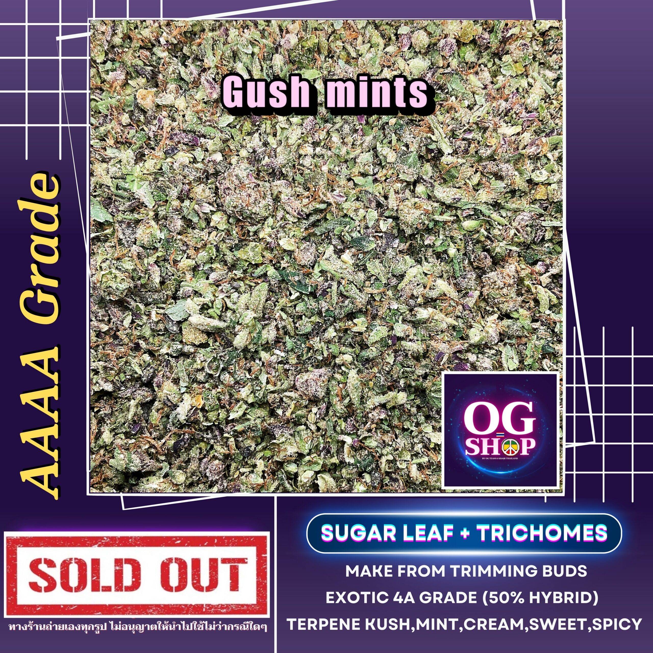 Sugar leaf + Trichomes เศษดอก + ใบทริมติดไตรโคม สายพันธุ์ Gush mints S1 (Blimburn seeds) Sugar leaf 100 ฿/g รายละเอียด/กลิ่น/อาการ/THC Information/Smell/Effect/Order ช่อดอกบ่มอย่างน้อย 1 เดือน ณ วันที่ลงขาย (ไม่รวมตาก) Cannabis buds  is curing 1 month up before sell