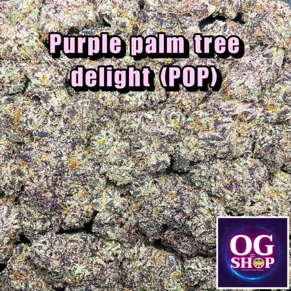 Cannabis flower Name (POP) Purple palm tree delight (Solfie genetics) Grow by OG team From OG shop Thailand Weed shop popcorn buds