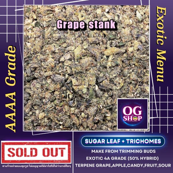 Grape stank (Compound genetics) Sugar leaf + Trichomes เศษดอก + ใบทริมติดไตรโคม