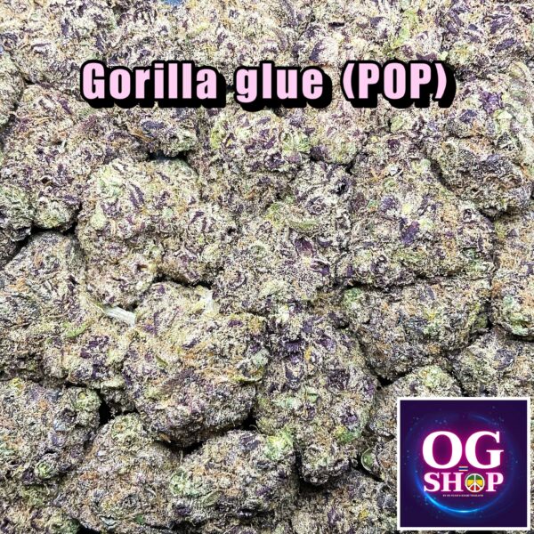 Cannabis flower Name (POP) Gorilla glue (Expert seeds) Grow by OG team From OG shop Thailand Popcorn buds weed ดอกแห้ง (POP) Gorilla glue (Expert seeds) ปลูกโดย OG team จาก OG shop ประเทศไทย Popcorn buds weed