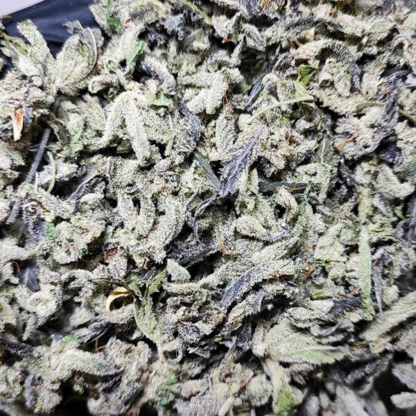 Deep fried oreoz (In house genetics) Sugar leaf + Trichomes weed shop Thailand สั่งซื้อกัญชา เศษดอก + ใบทริมติดไตรโคม ราคาถูก