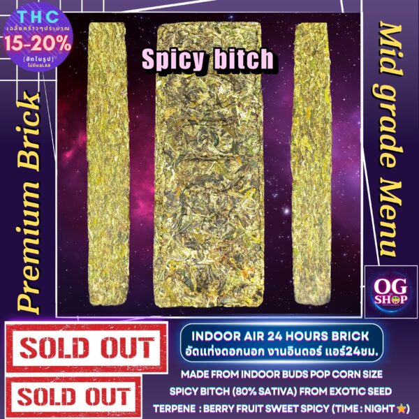 Cannabis (Brick) Spicy bitch (Exotic seed) Grow by OG team From OG shop Thailand Cannabis brick Thailand กัญชาอัดแท่งอัดแท่ง OG สายพันธุ์นอก (Brick) Spicy bitch (Exotic seed) ปลูกโดย OG team จาก OG shop ประเทศไทย Cannabis brick Thailand
