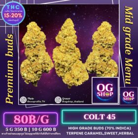 Cannabis flower Name Colt 45 (In house genetics) Grow by OG team From OG shop Thailand Cannabis Midgrade low price Thailand ดอกแห้ง Colt 45 (In house genetics) ปลูกโดย OG team จาก OG shop ประเทศไทย