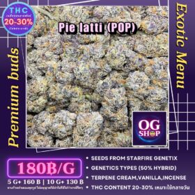 Cannabis flower Name Pie latti (Starfire genetix) Grow by OG team From OG shop Thailand ดอกแห้ง Pie latti (Starfire genetix) ปลูกโดย OG team จาก OG shop ประเทศไทย Buy Popcorn Weed Thailand Best Quality