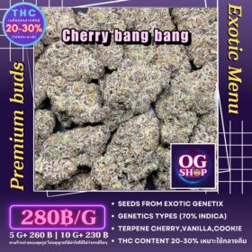 Cannabis flower Name Cherry bang bang Grow by OG team From OG shop Thailand ดอกแห้ง Cherry bang bang ปลูกโดย OG team จาก OG shop ประเทศไทย