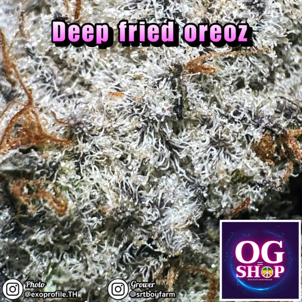 Cannabis flower Name Deep fried oreoz (In house genetics) (Best quality) Grow by OG team From OG shop Thailand Cannabis Grower And Weed Farm Krabi Thailand ดอกแห้ง Deep fried oreoz (In house genetics) ปลูกโดย OG team จาก OG shop ประเทศไทย