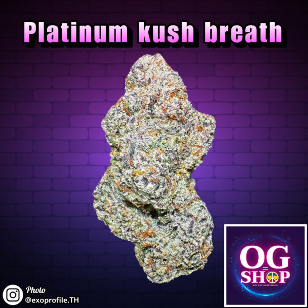 Cannabis flower Name Platinum kush breath (In house genetics) Grow by OG team From OG shop Thailand Marijuana buds Premium Quality ดอกแห้ง Platinum kush breath (In house genetics) ปลูกโดย OG team จาก OG shop ประเทศไทย