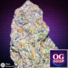 Cannabis flower Name Cookies and cream (Exotic genetix) Grow by OG team From OG shop Thailand Cannabis Farm Indoor Top-shelf Grower Thailand ดอกแห้ง Cookies and cream (Exotic genetix) ปลูกโดย OG team จาก OG shop ประเทศไทย