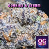 Cannabis flower Name Cookies and cream (Exotic genetix) Grow by OG team From OG shop Thailand Cannabis Farm Indoor Top-shelf Grower Thailand ดอกแห้ง Cookies and cream (Exotic genetix) ปลูกโดย OG team จาก OG shop ประเทศไทย