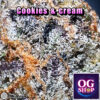 Cannabis flower Name Cookies and cream (Exotic genetix) Grow by OG team From OG shop Thailand Cannabis Farm Indoor Top-shelf Grower Thailand ดอกแห้ง Cookies and cream (Exotic genetix) ปลูกโดย OG team จาก OG shop ประเทศไทย