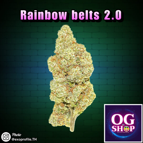 Cannabis flower Name Rainbow belts 2.0 (Archive seed bank) Grow by OG team From OG shop Thailand Marijuana Mid grade shop Thailand ดอกแห้ง Rainbow belts 2.0 (Archive seed bank) ปลูกโดย OG team จาก OG shop ประเทศไทย