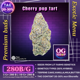 Cannabis flower Name Cherry pop tart (Lit farms genetics) Grow by OG team From OG shop Thailand Marijuana weed delivery krabi Thailand ดอกแห้ง Cherry pop tart (Lit farms genetics) ปลูกโดย OG team จาก OG shop ประเทศไทย