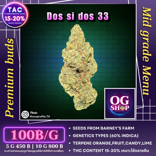 Cannabis flower Name Dos si dos 33 (Barney's farm) Grow by OG team From OG shop Thailand Cannabis Mid grade buds ดอกแห้ง Dos si dos 33 (Barney's farm) ปลูกโดย OG team จาก OG shop ประเทศไทย
