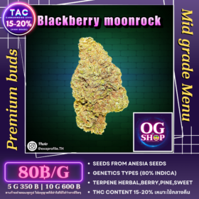 Cannabis flower Name Blackberry moonrock (Anesia seeds) Grow by OG team From OG shop Thailand Marijuana greenhouse weed menu Blackberry moonrock (Anesia seeds) ปลูกโดย OG team จาก OG shop ประเทศไทย