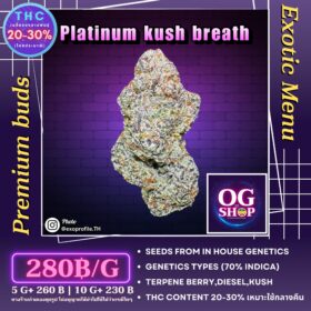 Cannabis flower Name Platinum kush breath (In house genetics) Grow by OG team From OG shop Thailand Marijuana buds Premium Quality ดอกแห้ง Platinum kush breath (In house genetics) ปลูกโดย OG team จาก OG shop ประเทศไทย