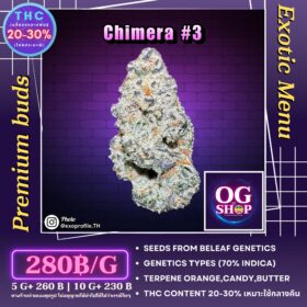 Cannabis flower Name Chimera #3 (Beleaf genetics) Grow by OG team From OG shop Thailand Marijuana Seller Krabi Thailand ดอกแห้ง Chimera #3 (Beleaf genetics) ปลูกโดย OG team จาก OG shop ประเทศไทย