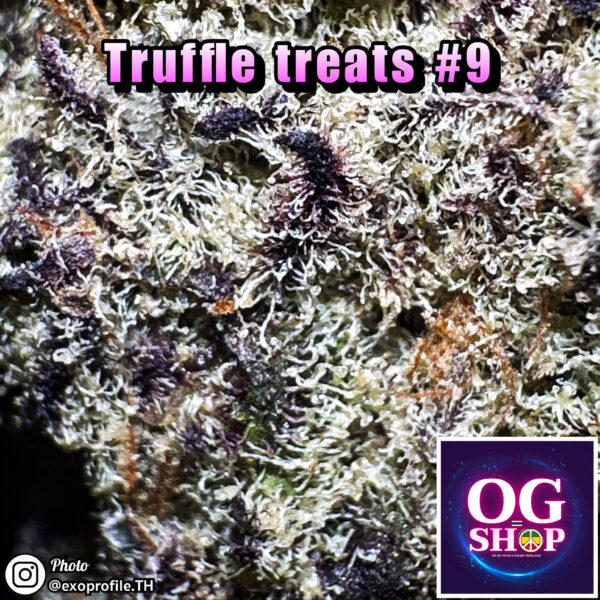 Cannabis flower Name Truffle treats #9 (Beleaf genetics) Grow by OG team From OG shop Thailand Marijuana Online Delivery Thailand ดอกแห้ง Truffle treats #9 (Beleaf genetics) ปลูกโดย OG team จาก OG shop ประเทศไทย