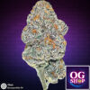 Cannabis flower Name Pink certz (Compound genetics) Grow by OG team From OG shop Thailand Marijuana Store Online Thailand ดอกแห้ง Pink certz (Compound genetics) ปลูกโดย OG team จาก OG shop ประเทศไทย