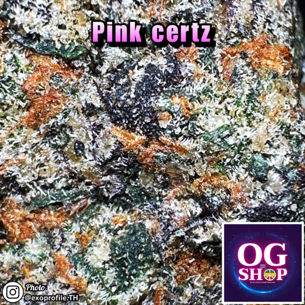 Cannabis flower Name Pink certz (Compound genetics) Grow by OG team From OG shop Thailand Marijuana Store Online Thailand ดอกแห้ง Pink certz (Compound genetics) ปลูกโดย OG team จาก OG shop ประเทศไทย