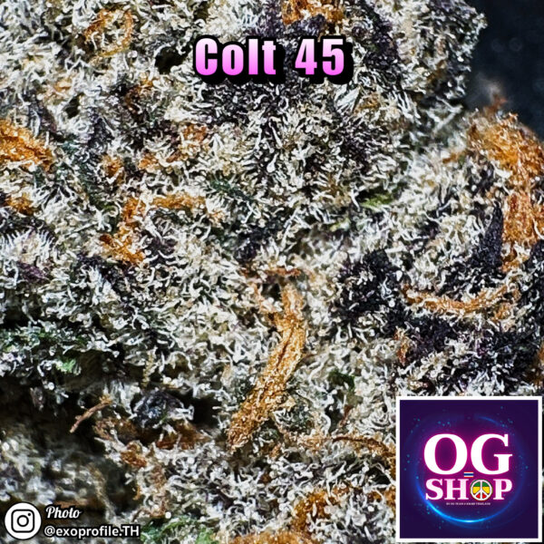Cannabis flower Name Colt 45 (In house genetics) Grow by OG team From OG shop Thailand Marijuana Store Delivery ดอกแห้ง Colt 45 (In house genetics) ปลูกโดย OG team จาก OG shop ประเทศไทย