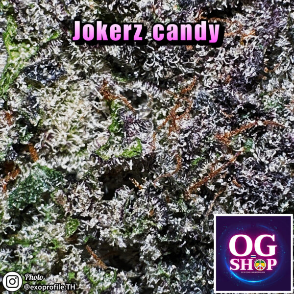Cannabis flower Name Jokerz candy (Compound genetics) Grow by OG team From OG shop Thailand ดอกแห้ง Jokerz candy (Compound genetics) ปลูกโดย OG team จาก OG shop ประเทศไทย