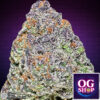 Cannabis flower Name Jokerz candy (Compound genetics) Grow by OG team From OG shop Thailand ดอกแห้ง Jokerz candy (Compound genetics) ปลูกโดย OG team จาก OG shop ประเทศไทย