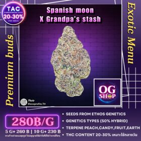 Cannabis flower Name Spanish moon X Grandpa stash (Ethos genetics) Grow by OG team From OG shop Thailand Marijuana farms krabi Thailand ดอกแห้ง Spanish moon X Grandpa stash (Ethos genetics) ปลูกโดย OG team จาก OG shop ประเทศไทย