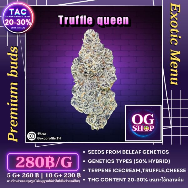Cannabis flower Name Truffle queen (Beleaf genetics) Grow by OG team From OG shop Thailand Marijuana Online Shop Krabi Thailand ดอกแห้ง Truffle queen (Beleaf genetics) ปลูกโดย OG team จาก OG shop ประเทศไทย