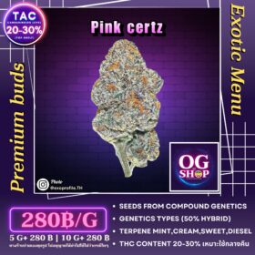 Cannabis flower Name Pink certz (Compound genetics) Grow by OG team From OG shop Thailand Marijuana Store Online Thailand ดอกแห้ง Pink certz (Compound genetics) ปลูกโดย OG team จาก OG shop ประเทศไทย