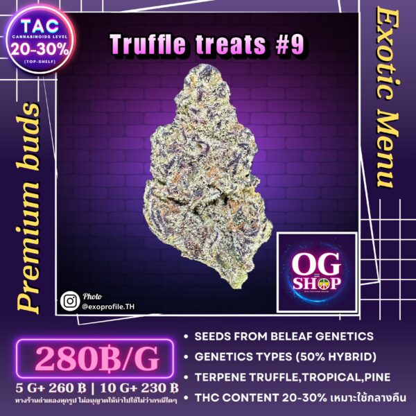 Cannabis flower Name Truffle treats #9 (Beleaf genetics) Grow by OG team From OG shop Thailand Marijuana Online Delivery Thailand ดอกแห้ง Truffle treats #9 (Beleaf genetics) ปลูกโดย OG team จาก OG shop ประเทศไทย