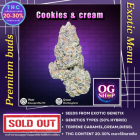 Cannabis flower Name Cookies and cream (Exotic genetix) Grow by OG team From OG shop Thailand Cannabis Farm Indoor Top-shelf Grower Thailand ดอกแห้ง Cookies and cream (Exotic genetix) ปลูกโดย OG team จาก OG shop ประเทศไทย