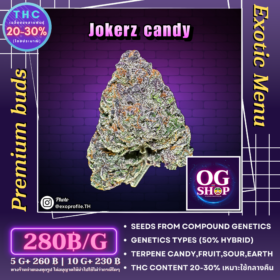 Cannabis flower Name Jokerz candy (Compound genetics) Grow by OG team From OG shop Thailand ดอกแห้ง Jokerz candy (Compound genetics) ปลูกโดย OG team จาก OG shop ประเทศไทย