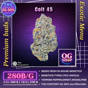 Cannabis flower Name Colt 45 (In house genetics) Grow by OG team From OG shop Thailand Marijuana Store Delivery ดอกแห้ง Colt 45 (In house genetics) ปลูกโดย OG team จาก OG shop ประเทศไทย