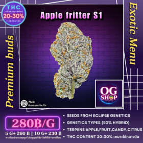 Cannabis flower Name Apple fritter s1 (Eclipse genetics) บรีดไทยจาก เนื้อไทย ไดอารี่ Grow by OG team From OG shop Thailand Cannabis Coffeeshops Delivery ดอกแห้ง Apple fritter s1 (Eclipse genetics) บรีดไทยจาก เนื้อไทย ไดอารี่ ปลูกโดย OG team จาก OG shop ประเทศไทย