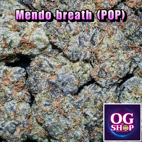 Cannabis flower Name : Mendo breath (Gage green genetics) Grow by OG team From OG shop Thailand Popcorn Buds Cannabis shop 180/g Mendo breath (Gage green genetics) ปลูกโดย OG team จาก OG shop ประเทศไทย