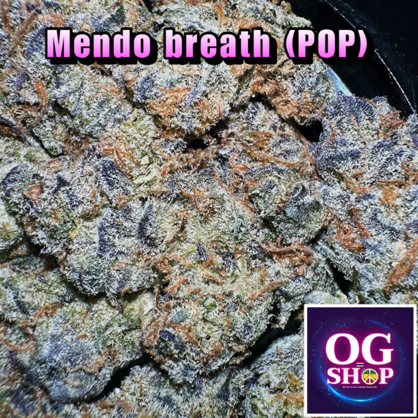 Cannabis flower Name : Mendo breath (Gage green genetics) Grow by OG team From OG shop Thailand Popcorn Buds Cannabis shop 180/g Mendo breath (Gage green genetics) ปลูกโดย OG team จาก OG shop ประเทศไทย