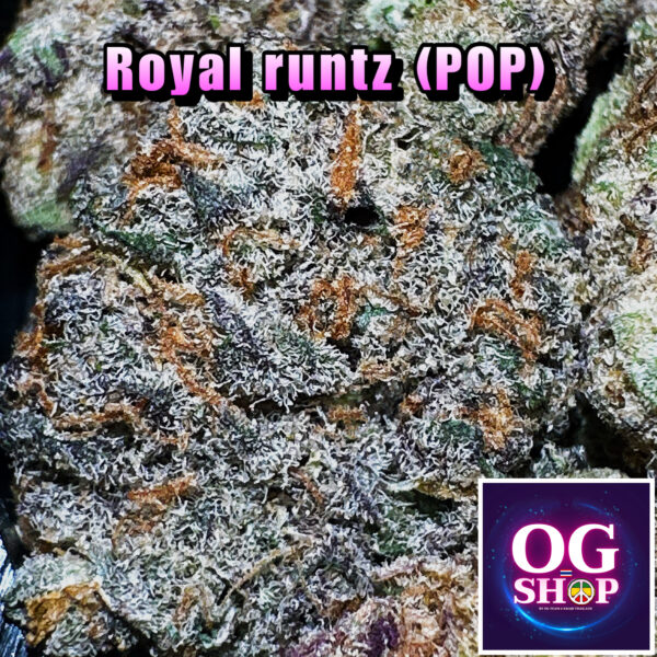 Cannabis flower Name : Royal runtz (Royal queen seeds) Grow by OG team From OG shop Thailand Hybrid Weed Popcorn Buds 180/g Royal runtz (Royal queen seeds) ปลูกโดย OG team จาก OG shop ประเทศไทย