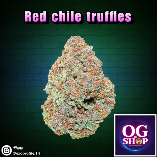 Cannabis flower Name : Red chile truffles (Hypno seeds) Grow by OG team From OG shop Thailand Cannabis midgrade low price 100/g Red chile truffles (Hypno seeds) ปลูกโดย OG team จาก OG shop ประเทศไทย