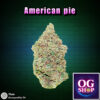 Cannabis flower Name : American pie (Pyramid seeds) Grow by OG team From OG shop Thailand Cannabis midgrade sativa buds 100/g American pie (Pyramid seeds) ปลูกโดย OG team จาก OG shop ประเทศไทย