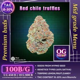 Cannabis flower Name : Red chile truffles (Hypno seeds) Grow by OG team From OG shop Thailand Cannabis midgrade low price 100/g Red chile truffles (Hypno seeds) ปลูกโดย OG team จาก OG shop ประเทศไทย