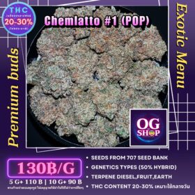 Cannabis flower Name : Chemlatto #1 (707 Seed bank) Grow by OG team From OG shop Thailand Indoor Popcorn Buds Wholesale 130/g Chemlatto #1 (707 Seed bank) ปลูกโดย OG team จาก OG shop ประเทศไทย