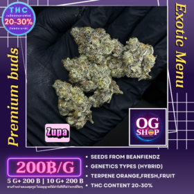 Cannabis flower Name Zupa (Beanfiendz) Grow by OG team From OG shop Thailand Home grow Cannabis farm Exotic weeds Krabi town/Ao-nang ดอกแห้ง Zupa (Beanfiendz) ปลูกโดย OG team จาก OG shop ฟาร์มกัญชาในจังหวัดกระบี่ ประเทศไทย