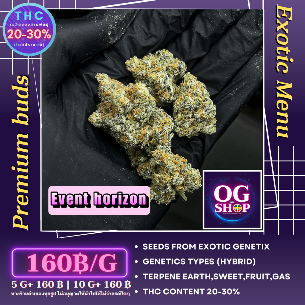 Cannabis flower Name Event horizon (Exotic genetix)(Hybrid) Grow by OG team From OG shop Thailand Home grow Cannabis farm Exotic weeds Krabi town/Ao-nang ดอกแห้ง Event horizon (Exotic genetix)(Hybrid) ปลูกโดย OG team จาก OG shop ฟาร์มกัญชาในจังหวัดกระบี่ ประเทศไทย