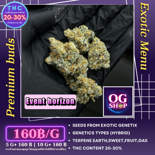 Cannabis flower Name Event horizon (Exotic genetix)(Hybrid) Grow by OG team From OG shop Thailand Home grow Cannabis farm Exotic weeds Krabi town/Ao-nang ดอกแห้ง Event horizon (Exotic genetix)(Hybrid) ปลูกโดย OG team จาก OG shop ฟาร์มกัญชาในจังหวัดกระบี่ ประเทศไทย